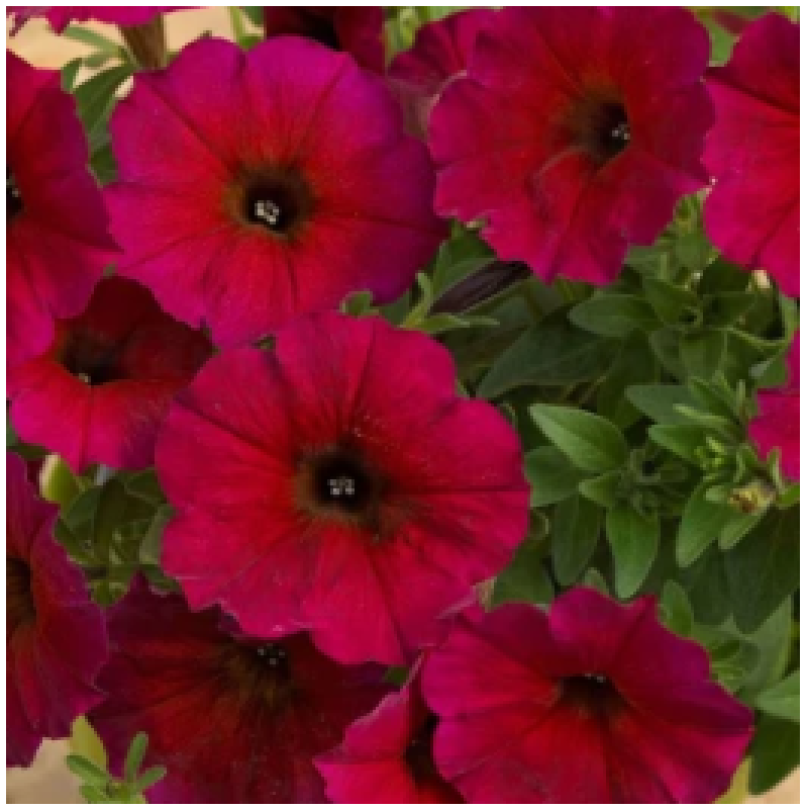 Снимок экрана 2025-10-24 162258